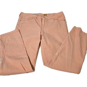 Pilcro and the Letterpress Anthropologie Fit/Stet Straight Leg Jeans Size 29